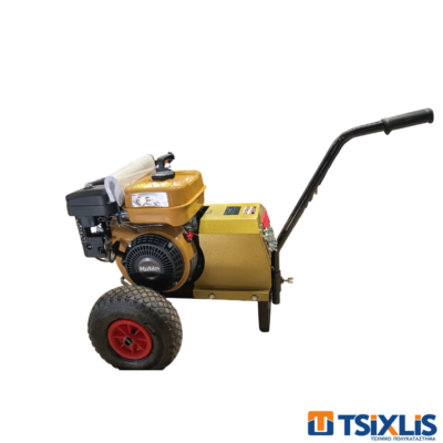 Ελαιοραβδιστικό ROBIN EX17 6.0Hp 120A